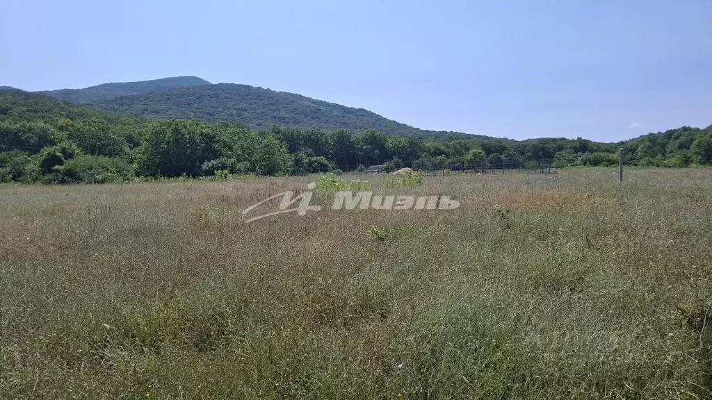 Участок в Крым, Белогорский район, с. Земляничное  (12.0 сот.) - Фото 2