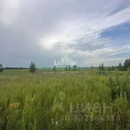 Участок в Брянская область, Брянский район, Отрадненское с/пос, с. ... - Фото 2