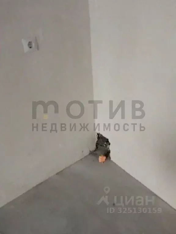 Студия Тюменская область, Тюмень Таврическая ул., 9к7 (32.2 м) - Фото 2