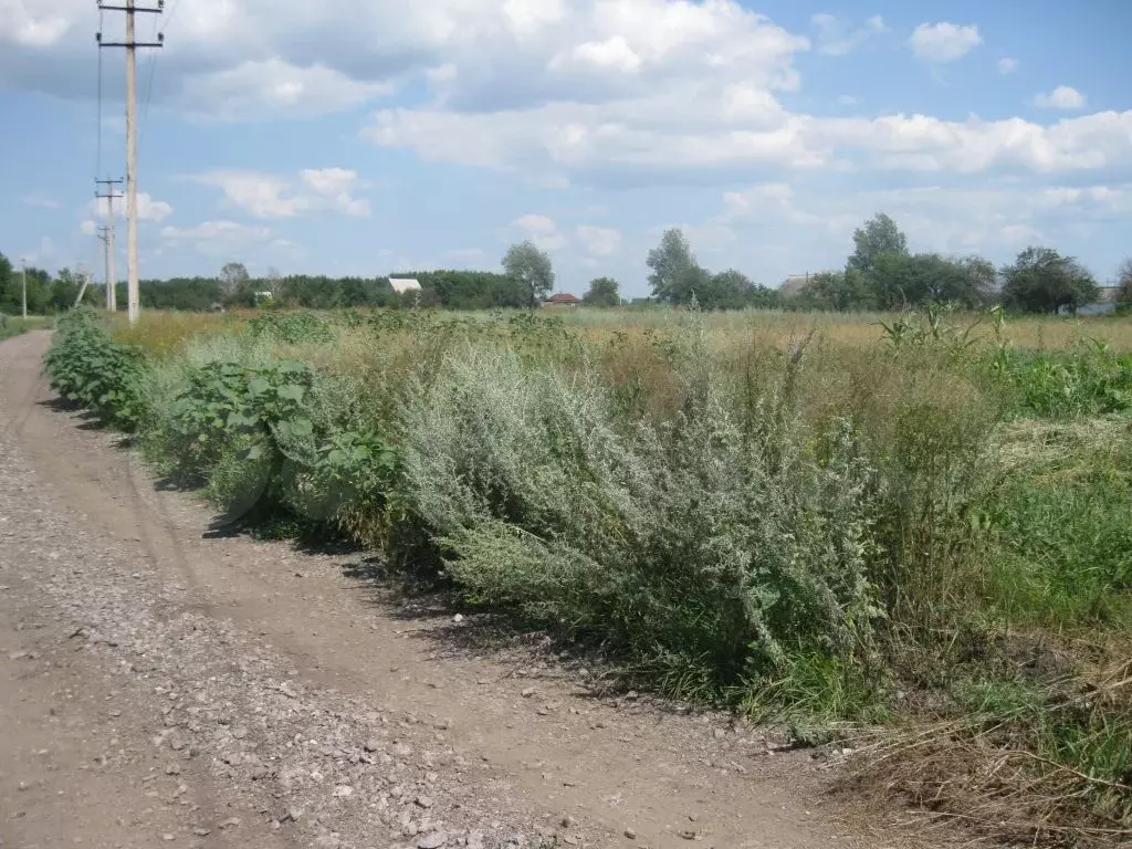 Купить Участок В Новоусманском Районе Воронежской Области