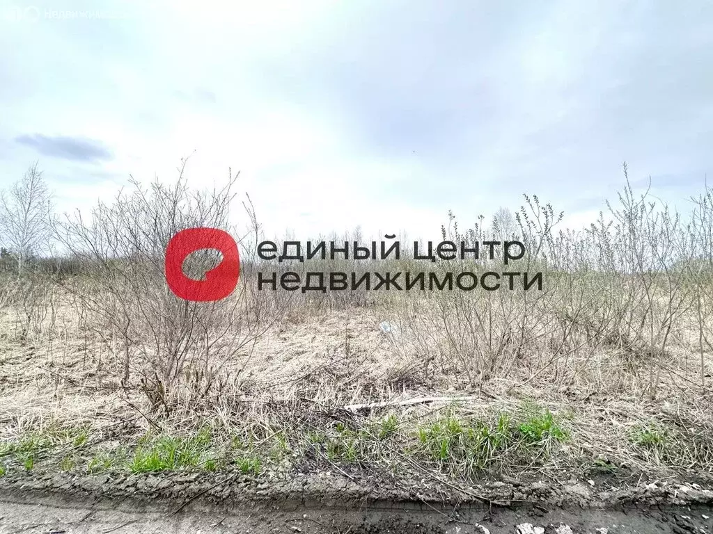 Участок в Тюмень, садовое товарищество Поле Чудес (10 м) - Фото 2