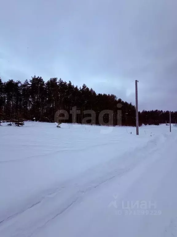 Участок в Калужская область, Боровск Бора-Боровск форестлейк кп,  ... - Фото 2