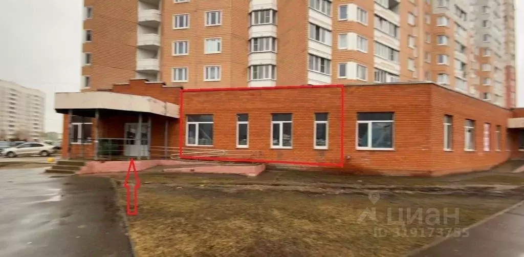 Торговая площадь в Тверская область, Тверь Оснабрюкская ул., 29 (99 м) - Фото 1