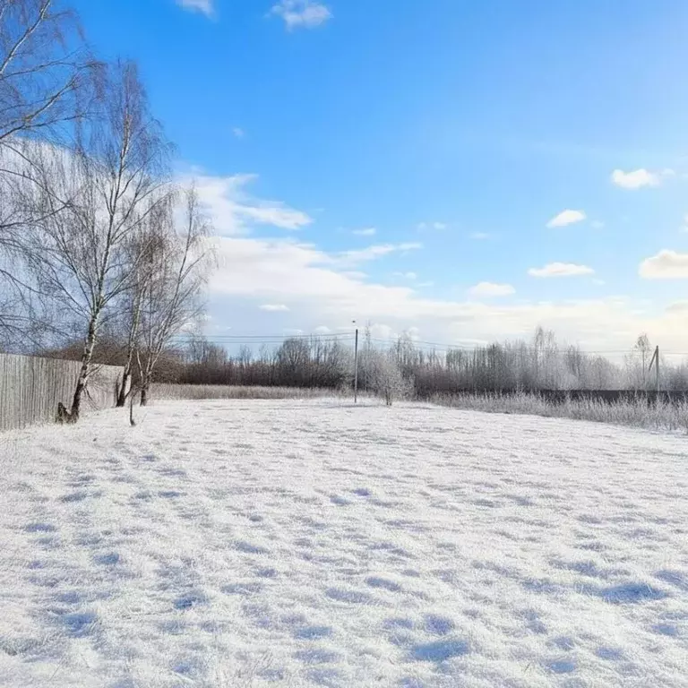 Участок в Московская область, Серпухов городской округ, д. Гавшино  ... - Фото 2