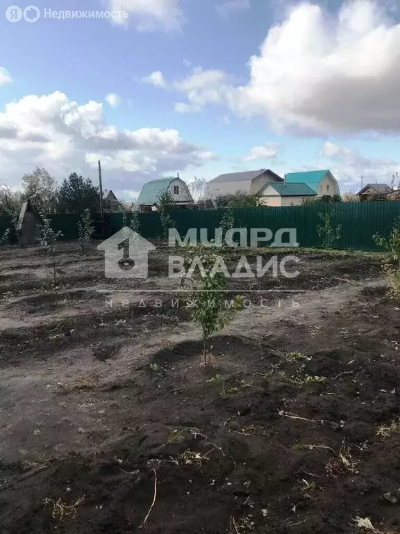 Участок в Омский район, село Розовка (11.88 м) - Фото 2