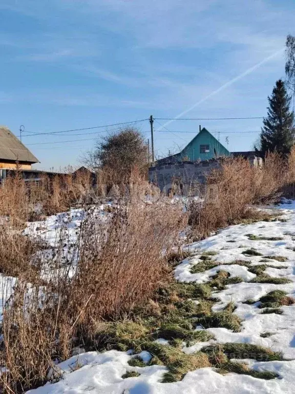Участок в Новосибирская область, Новосибирский район, с. Криводановка ... - Фото 1
