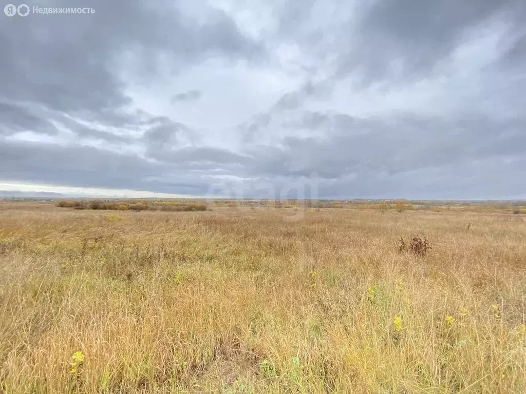 Участок в Боровичи, микрорайон Раздолье (947 м) - Фото 1