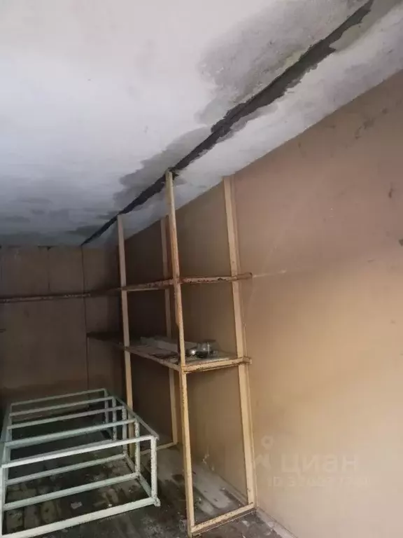 Помещение свободного назначения в Чувашия, Чебоксары ул. Декабристов, ... - Фото 0