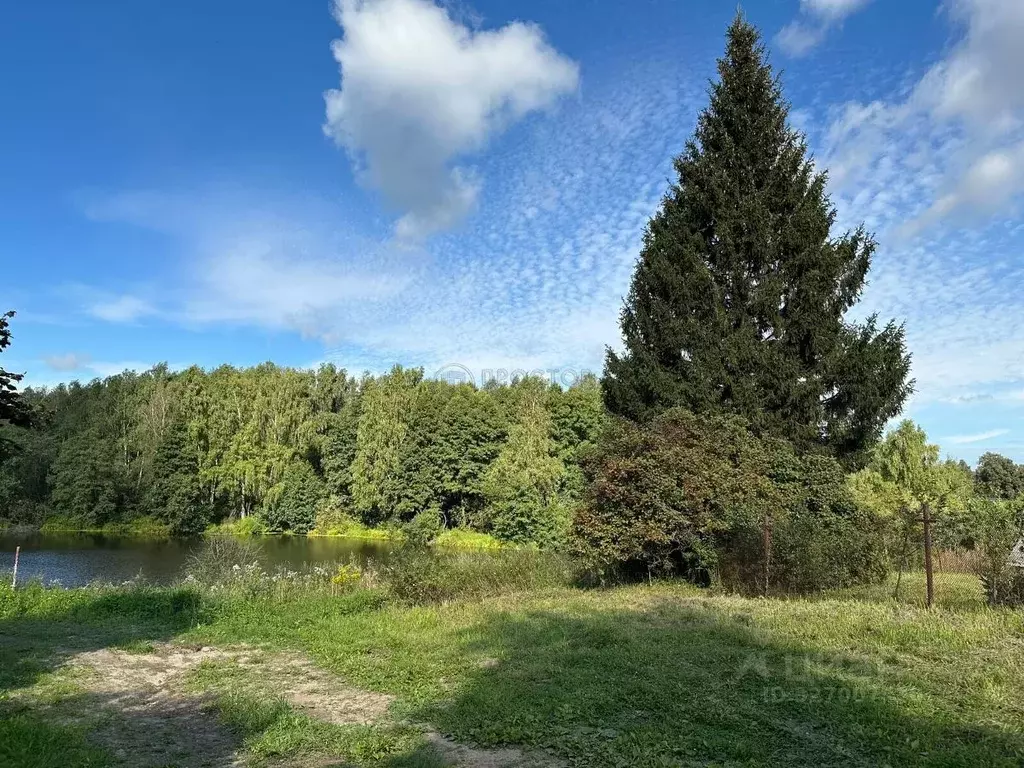 Дом в Московская область, Щелково городской округ, д. Здехово 39 (39 ... - Фото 1