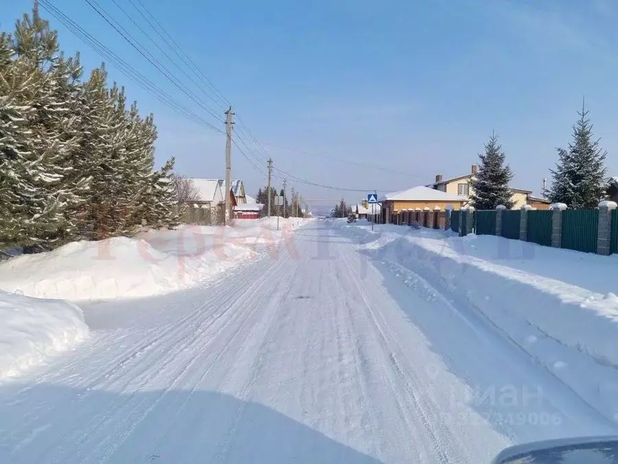 Участок в Новосибирская область, Новосибирский район, Толмачевский ... - Фото 2