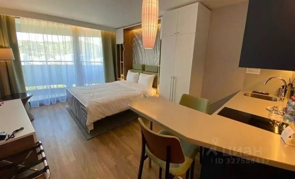 Студия Краснодарский край, Сочи городской округ, Дагомыс пгт ул. ... - Фото 1