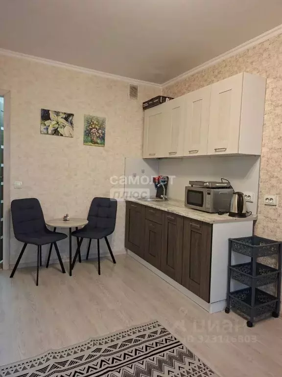 Студия Санкт-Петербург пос. Шушары, просп. Новгородский, 4 (21.0 м) - Фото 1