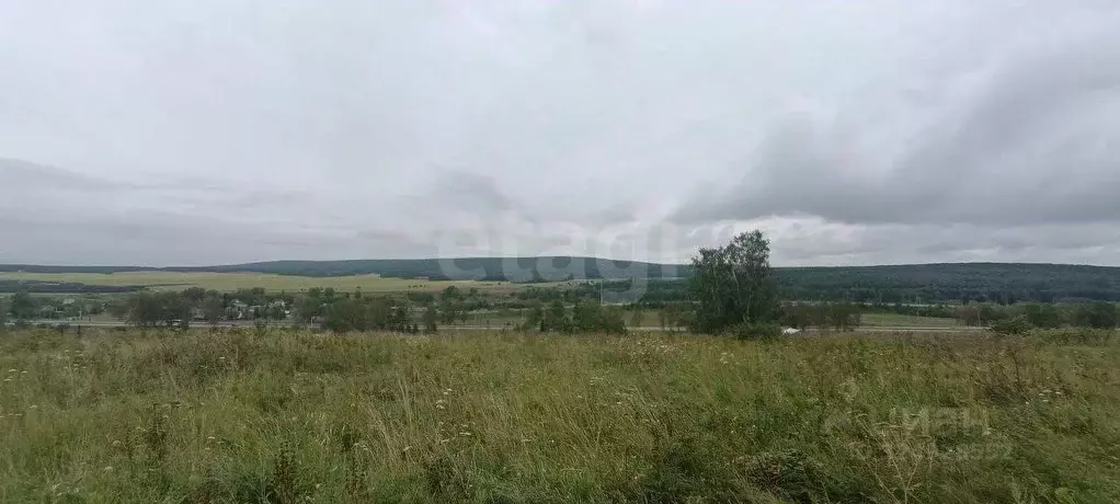 Участок в Красноярский край, Емельяновский муниципальный округ, ... - Фото 1