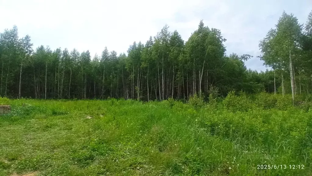 Участок в Марий Эл, Йошкар-Ола городской округ, д. Шоя-Кузнецово ул. ... - Фото 0