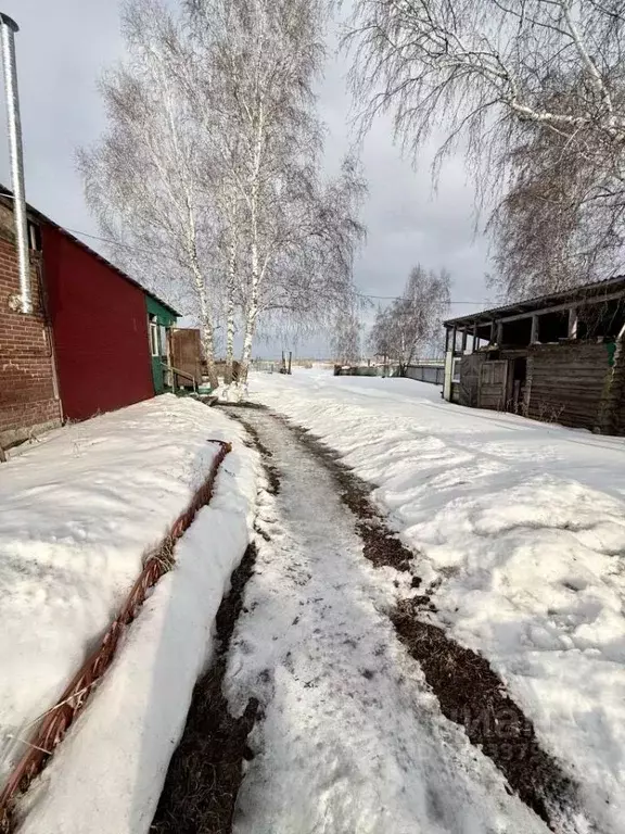 Дом в Омская область, Любинский район, с. Любино-Малороссы ул. ... - Фото 2
