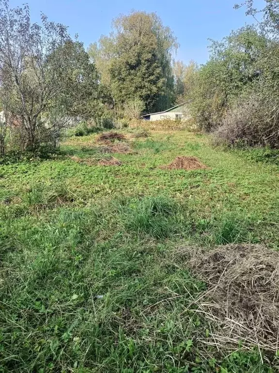 Участок в Псковская область, Пушкинские Горы рп ул. Пушкинская, 70 ... - Фото 1