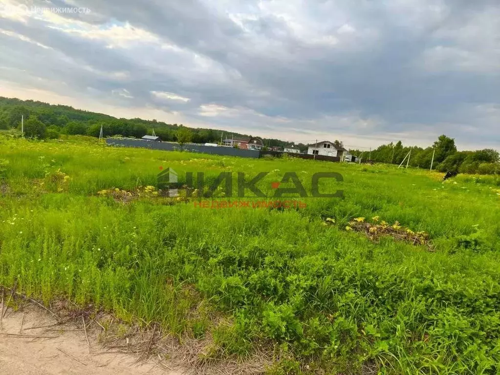 Участок в Ярославский муниципальный округ, деревня Зяблицы (10 м) - Фото 0