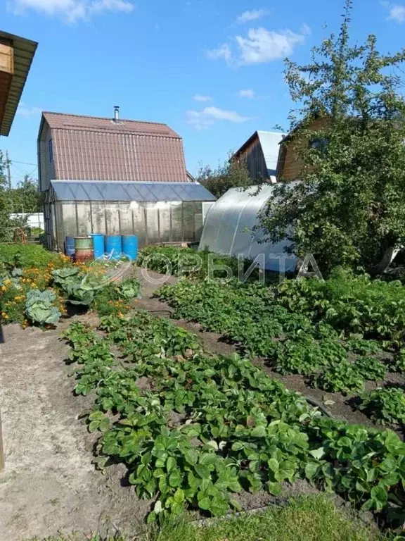 Дом в Тюменская область, Тюмень Бирюсинка СНТ, ул. Садовая, 54 (32 м) - Фото 0