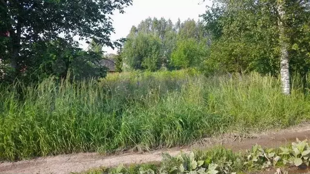 Участок 15 сот. (ИЖС) - Фото 0
