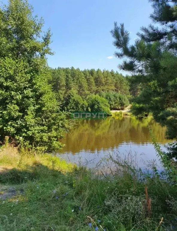 Участок в Пензенская область, Бессоновский район, Сосновский ... - Фото 1