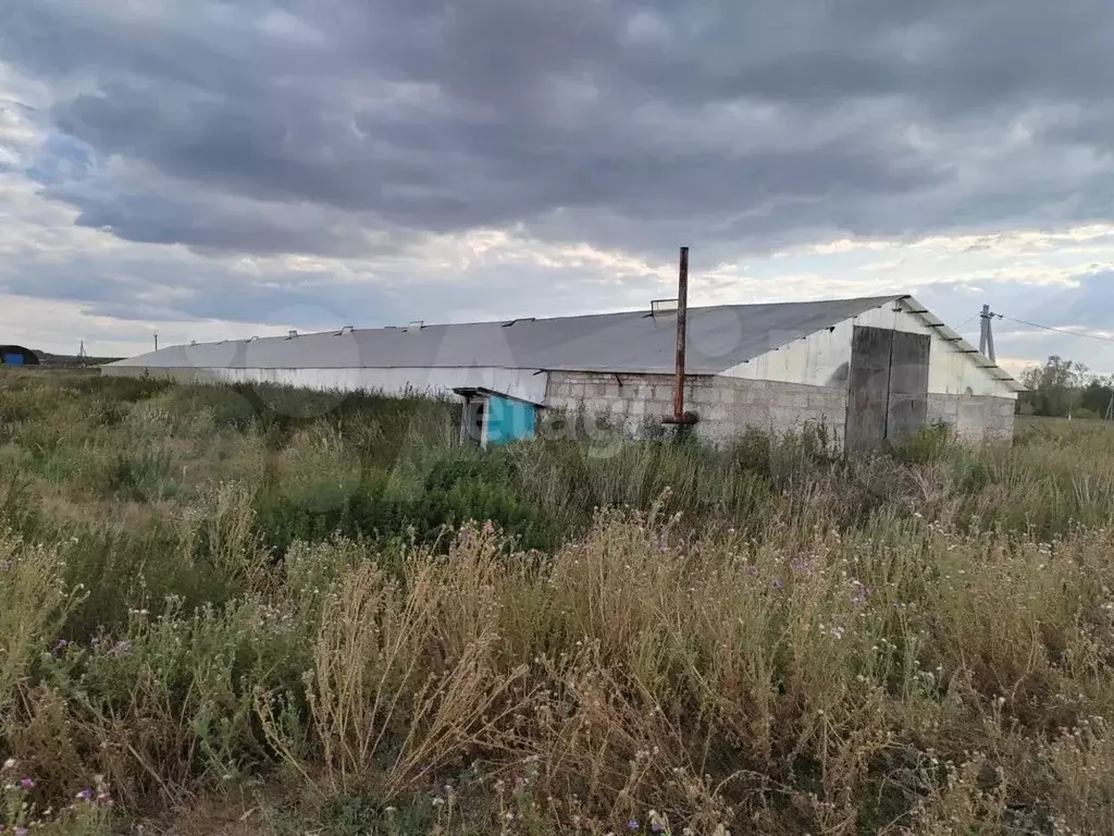 Продам производственное помещение, 990.45 м - Фото 1