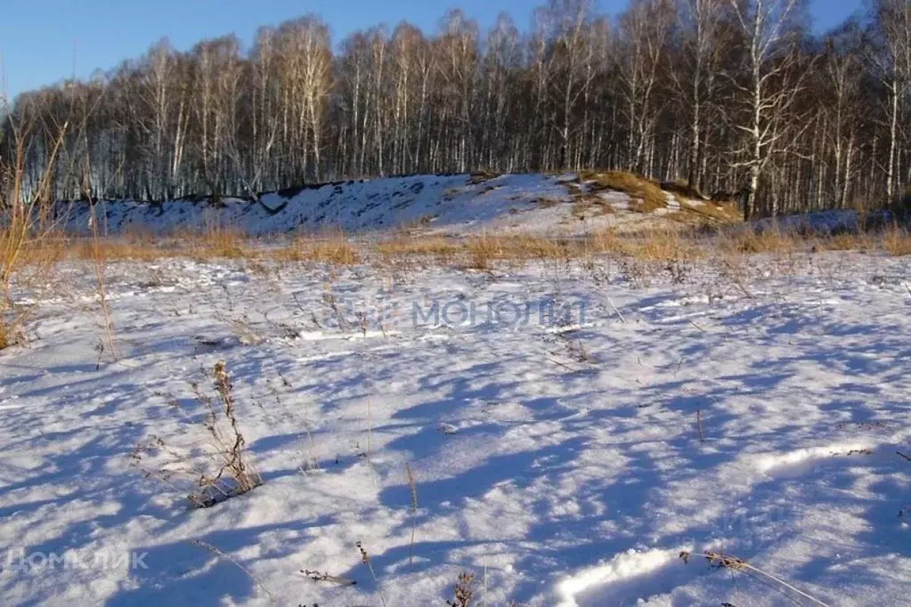 Участок в Нижегородская область, Лысковский район, с. Сельская Маза ... - Фото 0