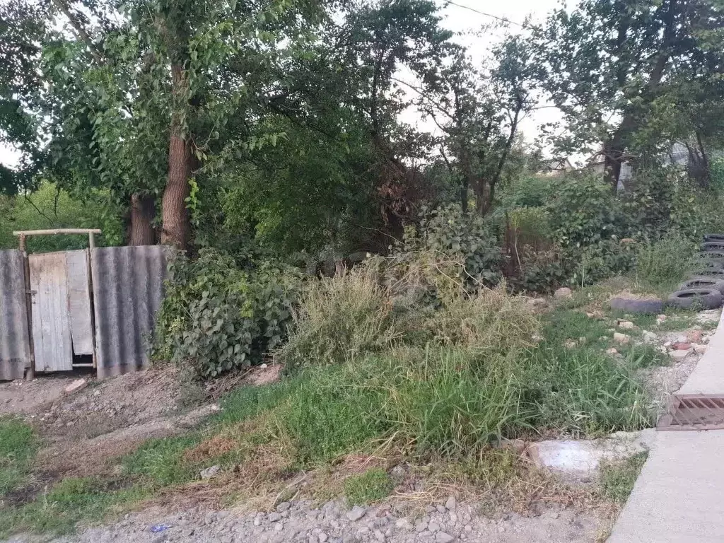 Участок в Ростовская область, Ростов-на-Дону Садовод-Любитель садовое ... - Фото 1