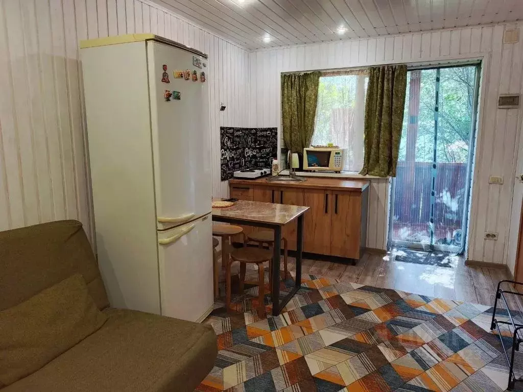 Студия Башкортостан, Белорецкий район, Абзаковский сельсовет, с. ... - Фото 1