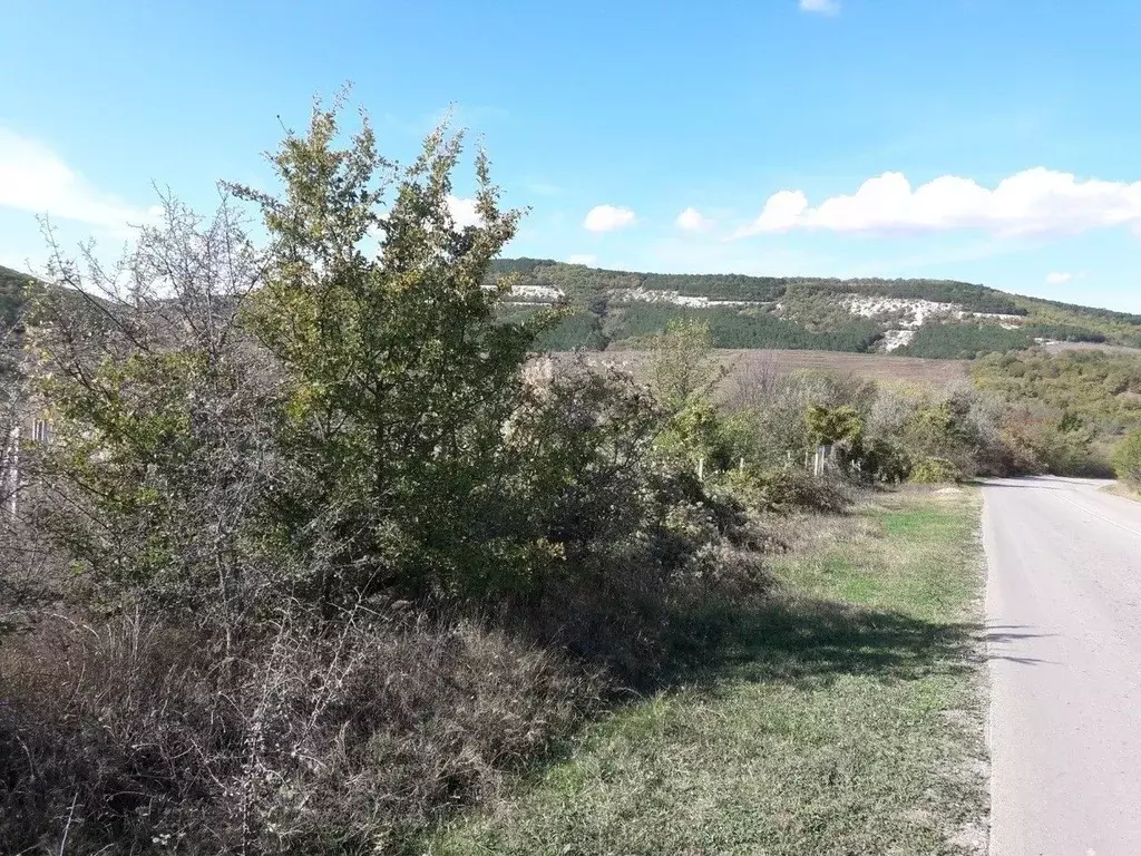 Участок в Крым, Бахчисарайский район, Скалистовское с/пос, с. ... - Фото 1