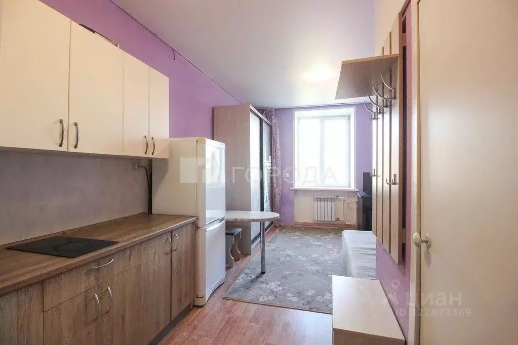 Студия Алтайский край, Барнаул Тимуровская ул., 62 (18.9 м) - Фото 1