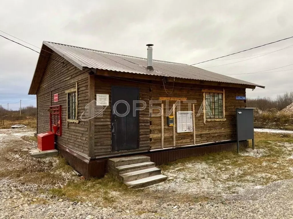 Участок в Тюменская область, Тюмень Большое Царево-1 СНТ,  (9.8 сот.) - Фото 2