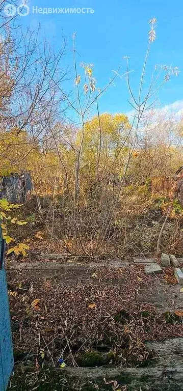 Дом в Добринка, Октябрьская улица, 61 (29.4 м) - Фото 0