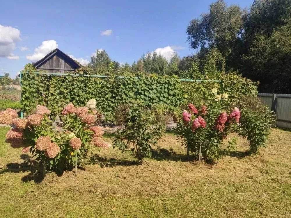 Участок в Хабаровский край, Хабаровск Мичурина-2 СНТ, 1 (10.0 сот.) - Фото 1