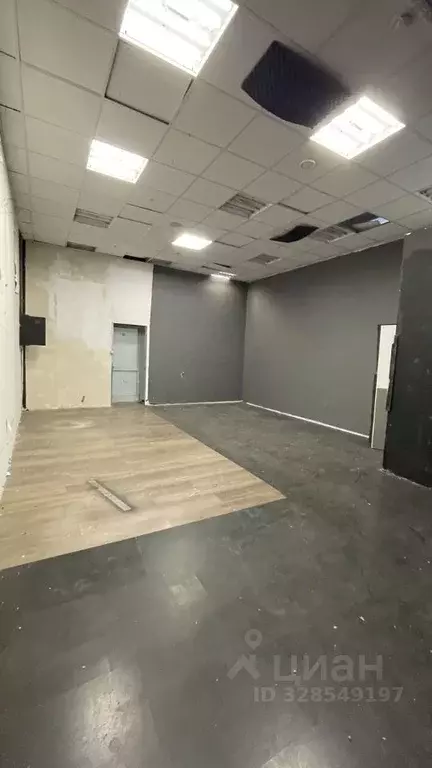 Помещение свободного назначения в Москва Павелецкая наб., 2С2 (77 м) - Фото 2