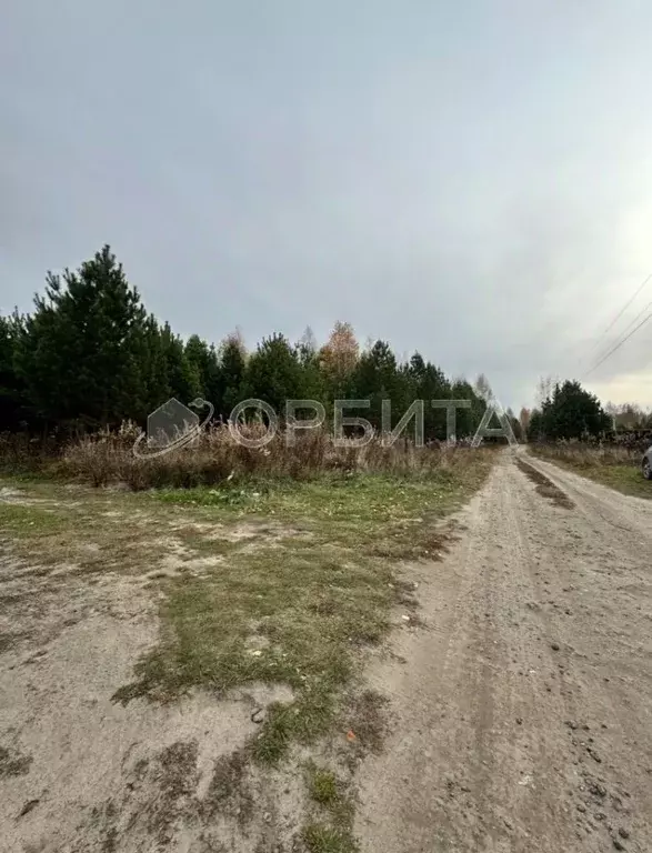 Участок в Тюменская область, Нижнетавдинский муниципальный округ, ... - Фото 2