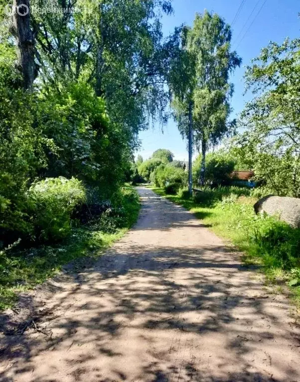 Участок в Новгородская область, Батецкий муниципальный округ, деревня ... - Фото 0