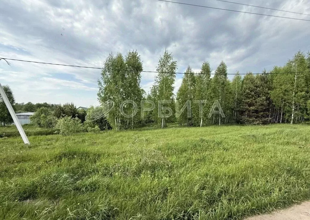 Участок в Тюменская область, Тюменский район, д. Головина  (6.5 сот.) - Фото 1