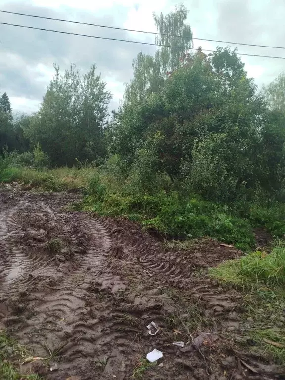 Участок в Московская область, Клин городской округ, пос. Нарынка  ... - Фото 2