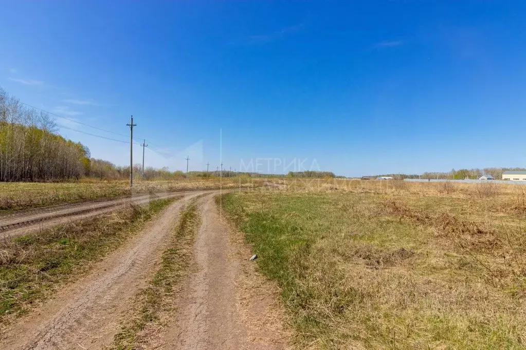 Участок в Тюменская область, Тюменский район, с. Горьковка  (11.0 ... - Фото 0