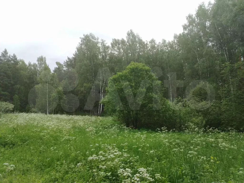 Участок 4 га (ИЖС) - Фото 0