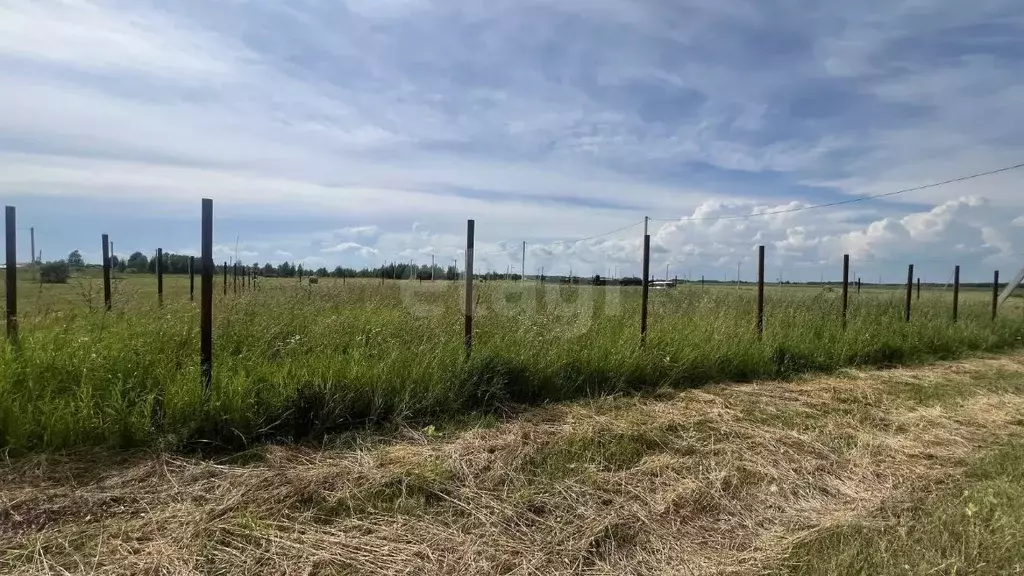 Участок в Тюменская область, Тюменский муниципальный округ, д. Марай ... - Фото 2