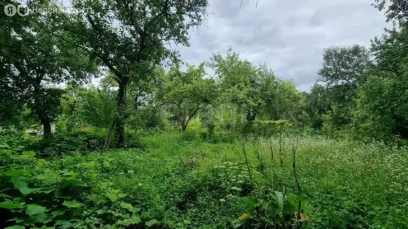 Участок в Брянск, садоводческое объединение Строитель-3 (5.3 м) - Фото 0