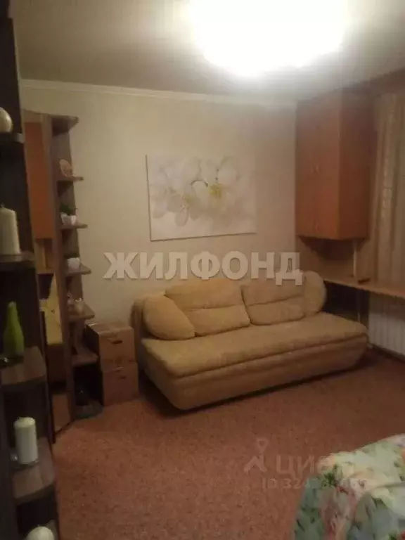 1-к кв. Новосибирская область, Новосибирск Шлюз мкр, ул. Русская, 11 ... - Фото 2