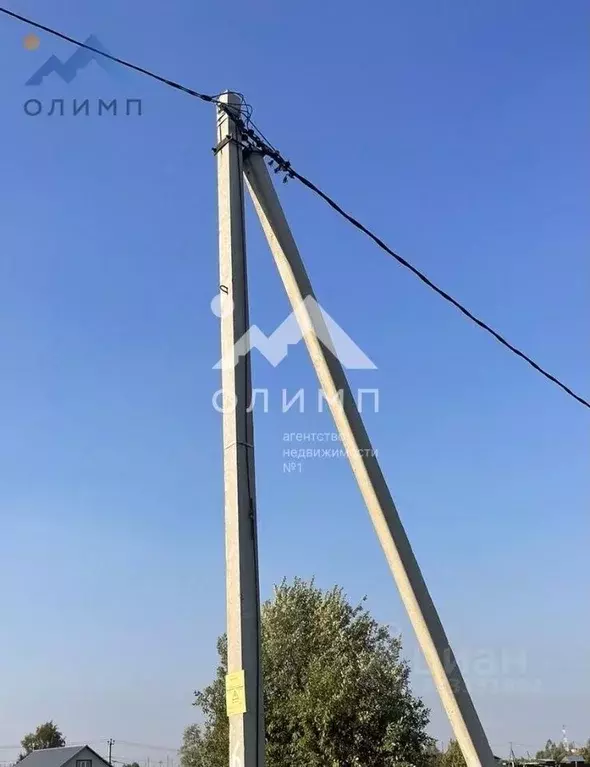 Участок в Вологодская область, с. Кубенское  (15.7 сот.) - Фото 2