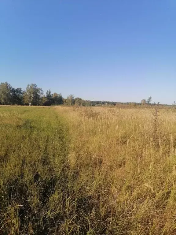 Участок в Московская область, Коломна городской округ, д. Губастово  ... - Фото 0