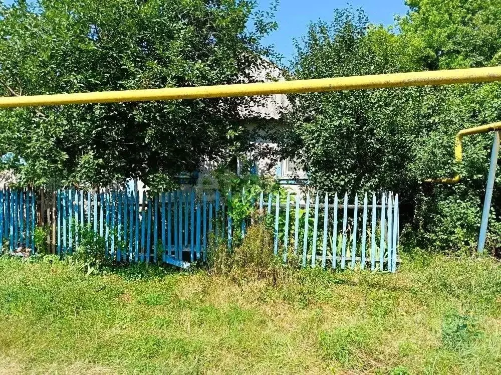 Дом в Белгородская область, Новооскольский муниципальный округ, с. ... - Фото 1