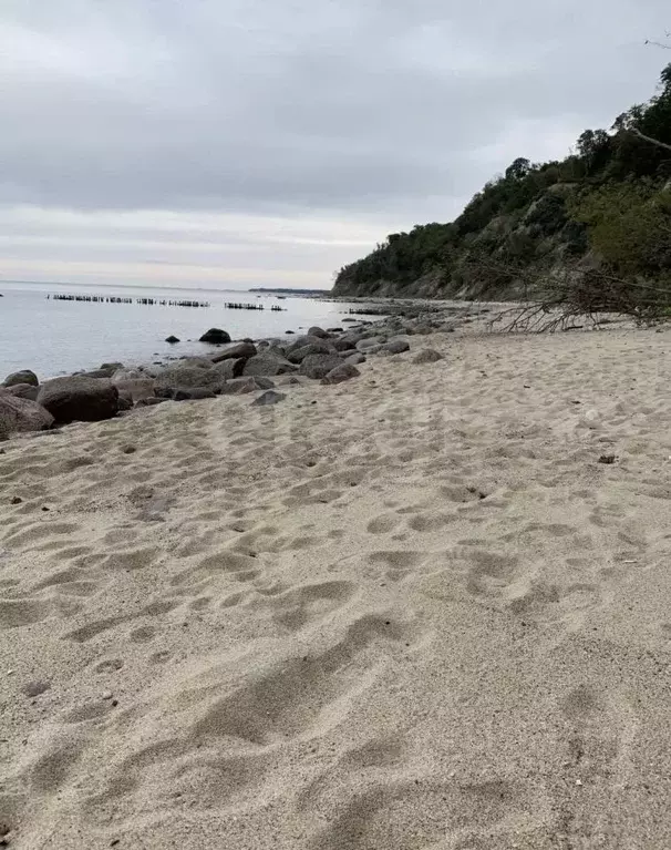 Участок в Калининградская область, Светлогорский городской округ, пос. ... - Фото 1
