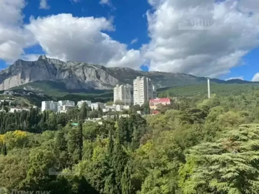 1-к кв. Крым, Ялта городской округ, Гаспра пгт ул. Школьная, 23 (34.0 ... - Фото 0