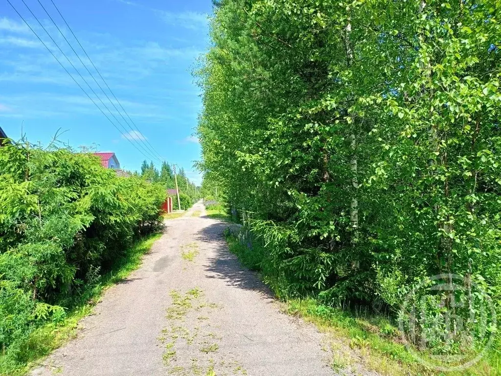 Участок в Ленинградская область, Выборгский район, Рощинское городское ... - Фото 1