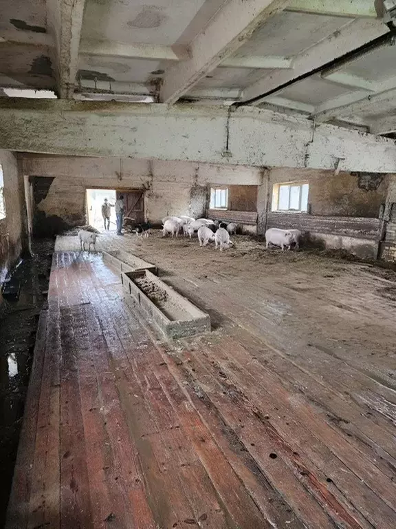 Участок в Ленинградская область, Волхов Виковщина мкр,  (5.0 сот.) - Фото 0